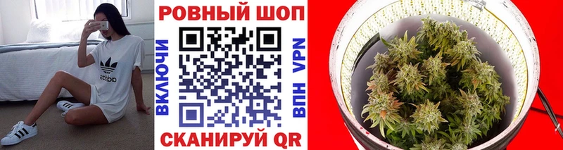 Псилоцибиновые грибы Советск