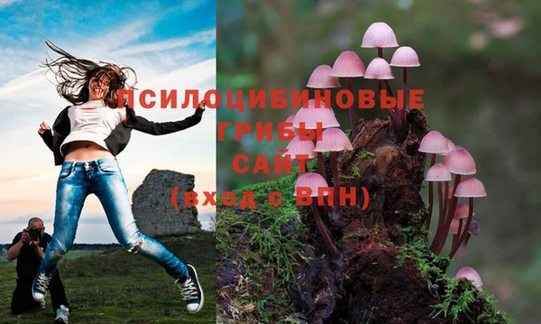 спиды Арсеньев